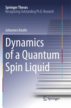 Dynamics of a Quantum Spin Liquid - Knolle, Johannes