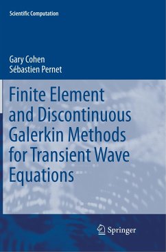 Finite Element and Discontinuous Galerkin Methods for Transient Wave Equations - Cohen, Gary;Pernet, Sébastien