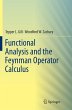 Functional Analysis and the Feynman... - Bild 1