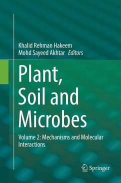 Cover Plant, Soil and Microbes