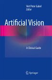 Artificial Vision