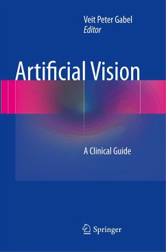 Artificial Vision