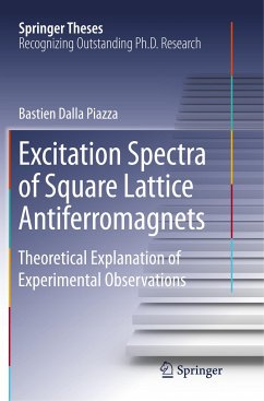 Excitation Spectra of Square Lattice Antiferromagnets - Dalla Piazza, Bastien