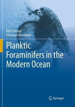 Planktic Foraminifers in the Modern Ocean - Schiebel, Ralf;Hemleben, Christoph