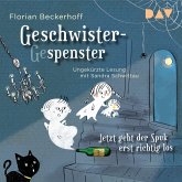 Geschwistergespenster – Jetzt geht der Spuk erst richtig los (MP3-Download)