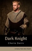 Dark Knight (Fairy Tale Hot-Flash, #4) (eBook, ePUB)