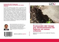 Evaluación del riesgo por deslizamientos de laderas en zonas urbanas - Oliva González, Aldo Onel