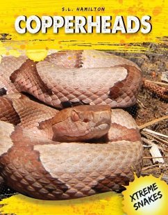 Copperheads - Hamilton, Sue L.