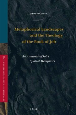 Metaphorical Landscapes and the Theology of the Book of Job - de Joode, Johan