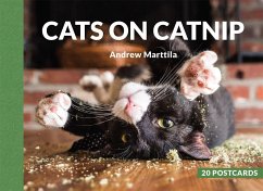 Cats on Catnip - Marttila, Andrew