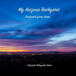 My Arizona Backyard - Palazuelos Romo, Eduardo