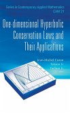 ONE-DIMENSIONAL HYPERBOLIC CONSERVATION LAWS AND THEIR APPLN