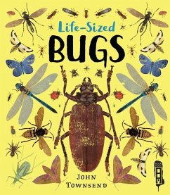 Life-Sized Bugs - Townsend, John