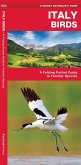 Italy Birds Italy Birds