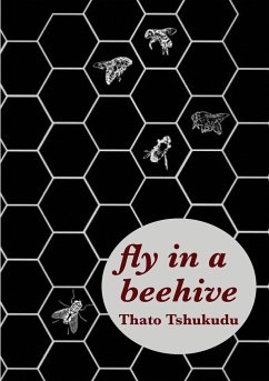 fly in a beehive - Tshukudu, Thato