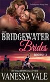 Their Bridgewater Brides Boxed Set (eBook, ePUB)