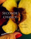 Seconde chance (eBook, ePUB)