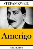 Amerigo (eBook, ePUB)