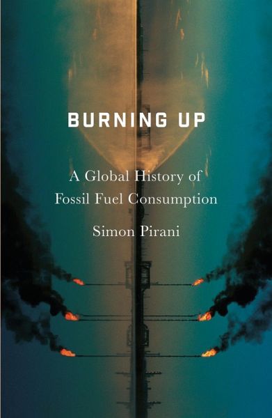 Burning Up (eBook, PDF)