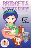 Bridget's Witch's Diary: Magic and Mayhem Universe (The Witch Singer, #2) (eBook, ePUB)