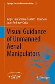 Visual Guidance of Unmanned Aerial Manipulators (eBook, PDF)