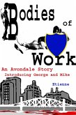 Bodies of Work (eBook, ePUB)