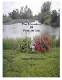 The Adventure of Possum Gap (eBook, ePUB) The Adventure of Possum Gap (eBook, ePUB)