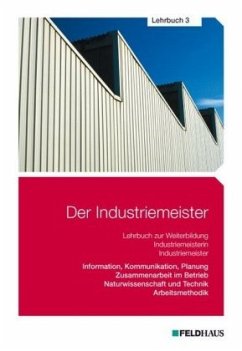 Information, Kommunikation, Planung - Zusammenarbeit im Betrieb - Naturwissenschaft und Technik - Arbeitsmethodik / Der Industriemeister 3 - Schmidt-Wessel, Elke H;Wessel, Frank