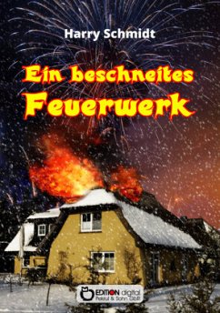 Ein beschneites Feuerwerk - Schmidt, Harry