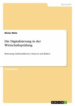 Die Digitalisierung in der Wirtschaftsprüfung - Matz, Niclas