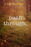 Push Through (eBook, ePUB)