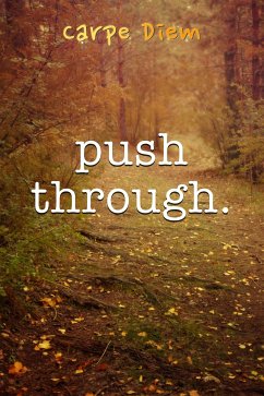 Push Through (eBook, ePUB) - Diem, Carpe