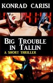 Big Trouble in Tallin (eBook, ePUB)