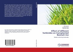 Effect of different herbicides on transplanted Basmati rice