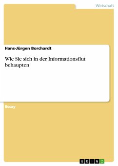 Wie Sie sich in der Informationsflut behaupten (eBook, PDF) - Borchardt, Hans-Jürgen
