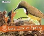 Let's Look at Spring