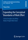 Expanding the Conceptual Boundaries of Work Effort (eBook, PDF)