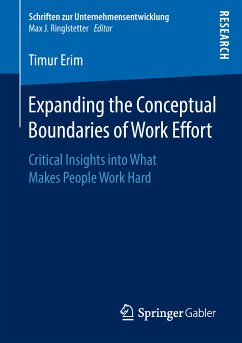 Expanding the Conceptual Boundaries of Work Effort (eBook, PDF) - Erim, Timur