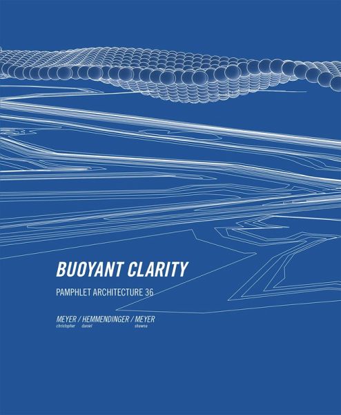 Pamphlet Architecture 36 (eBook, ePUB)