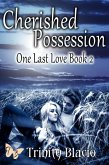 Cherished Possession (One Last Love Series, #2) (eBook, ePUB)