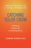 Catching Teller Crow (eBook, ePUB)