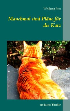 Manchmal sind Pläne für die Katz - Pein, Wolfgang