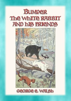 BUMPER THE WHITE RABBIT AND FRIENDS - 16 illustrated stories of Bumper and his Friends (eBook, ePUB) - Ethelbert Walsh, George; by Edwin John Prittie, Illustrated