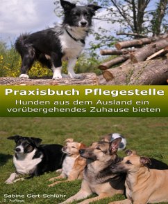 Cover Praxisbuch Pflegestelle (eBook, ePUB)