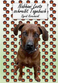 Cover Sailor The Little White Cat