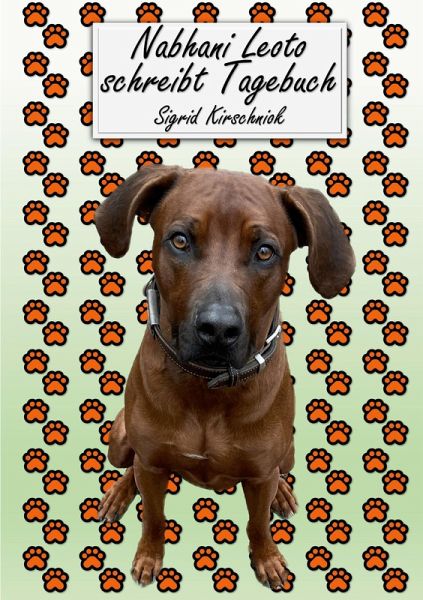 Sailor The Little White Cat Sailor The Little White Cat