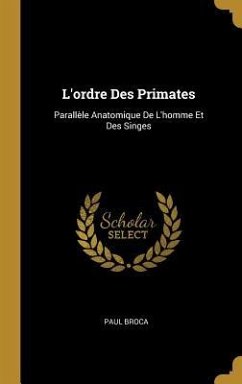 L'ordre Des Primates - Broca, Paul