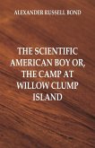 The Scientific American Boy