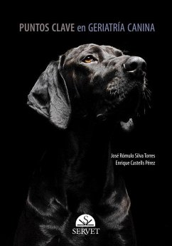 Cover Puntos Clave En Geriatría Canina