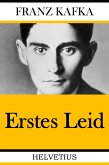 Erstes Leid (eBook, ePUB)